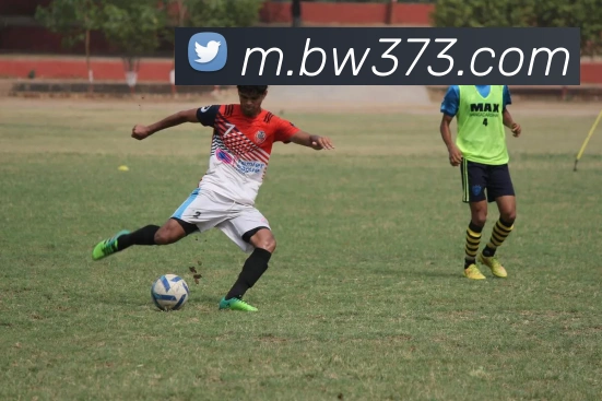 必威体育APP 封面图